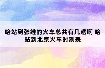 哈站到张维的火车总共有几趟啊 哈站到北京火车时刻表